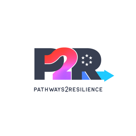 Call for “Pathways2Resilience” Project